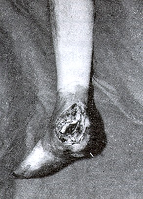 3-3.jpg - 59314 Bytes