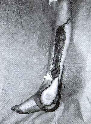 3-4.jpg - 61597 Bytes