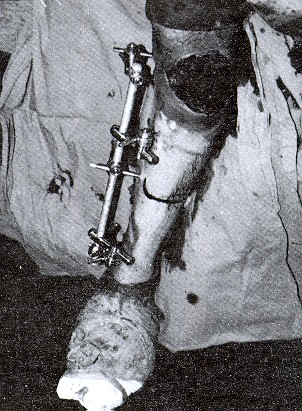 6-1.jpg - 67890 Bytes