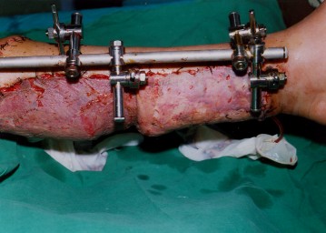 k11.jpg - 27019 Bytes