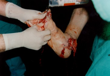 k16.jpg - 18669 Bytes