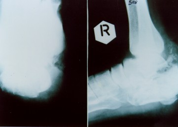 k17.jpg - 13793 Bytes