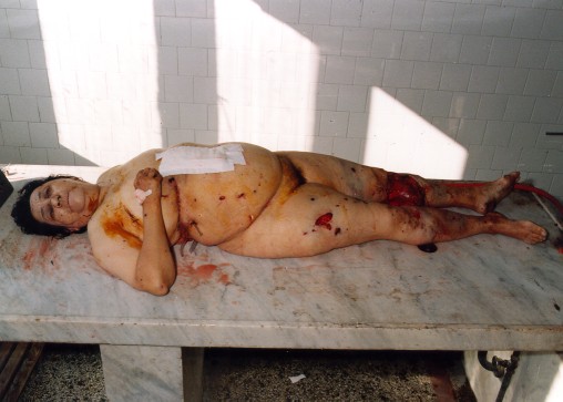 k41.jpg - 45048 Bytes