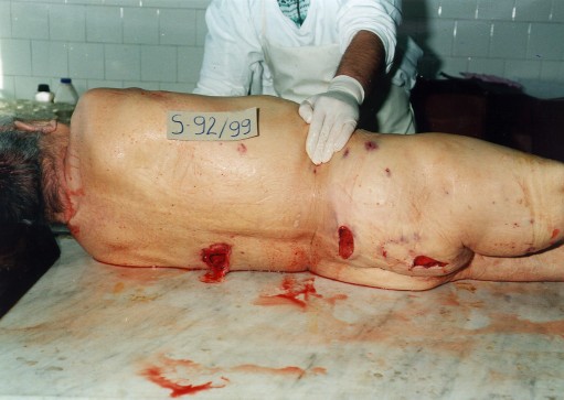 k43.jpg - 45724 Bytes